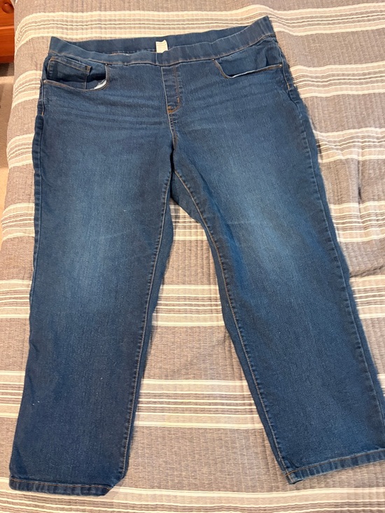 Terra & Sky Denim - Terra & Sky Dark Blue Pull-On Women’s Size 2X
